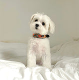 Hand Beaded Dog Collar - Teddy